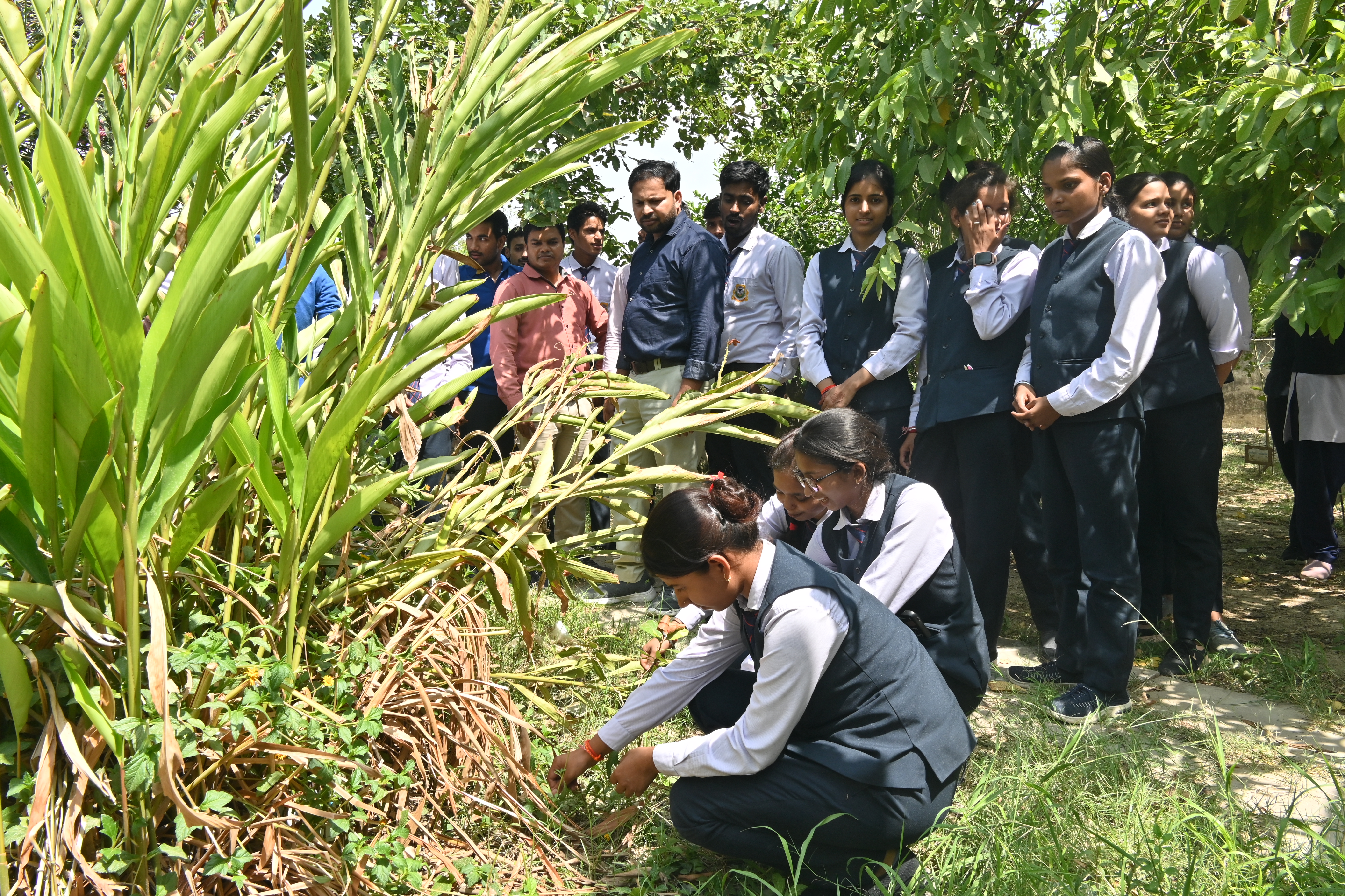 Green Campus